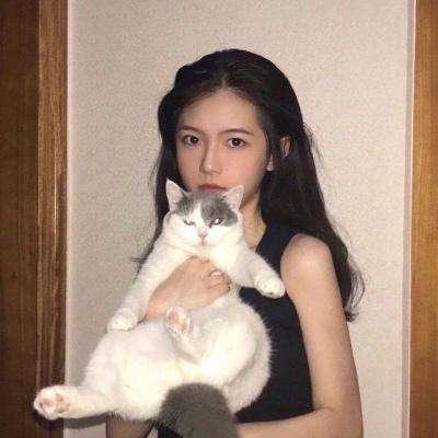 热血物语手游下载